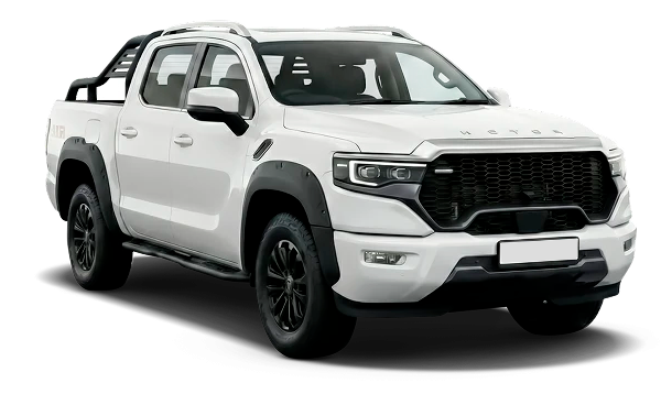 Превью FOTON Tunland V9