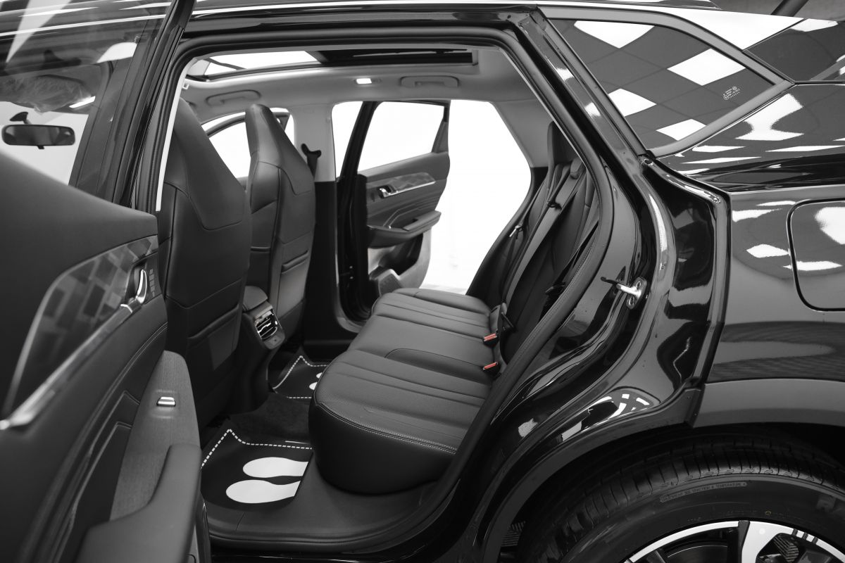 DONGFENG Mage миниатюра /